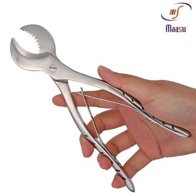 Periodontales Werkzeug der Edelstahl-Dentalgips-Quetschwalzen-18CM